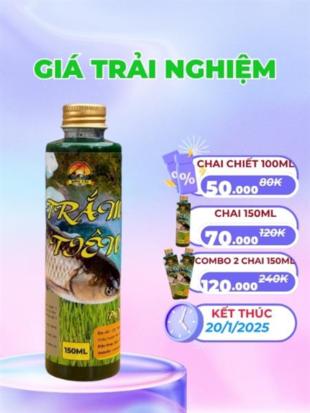 Trắm Tiên - Nước xanh ngâm ngô câu trắm cỏ, cá chép, cá trắm đen
